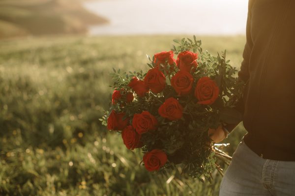 Rose Amor